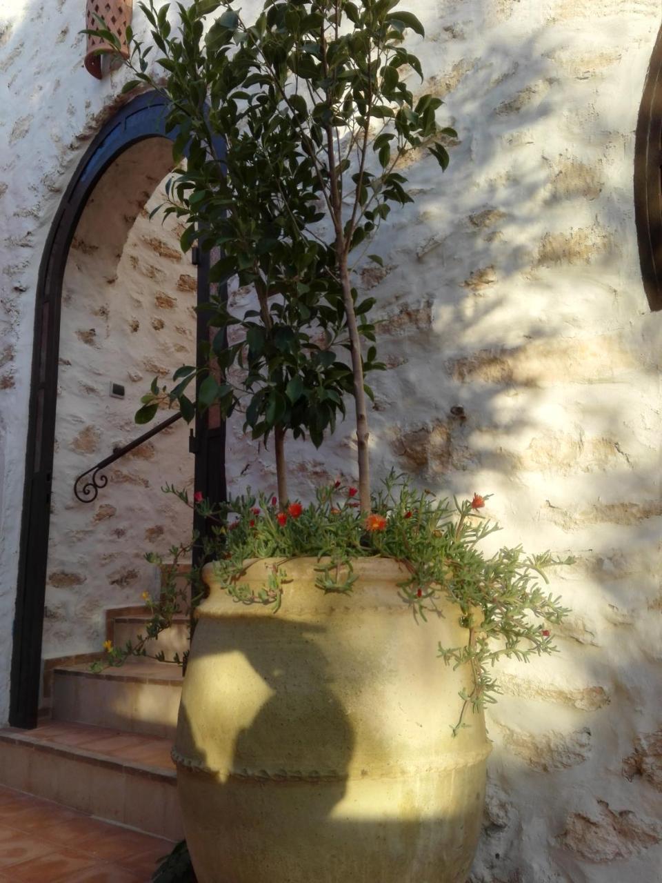Riad Sanam Essaouira Buitenkant foto